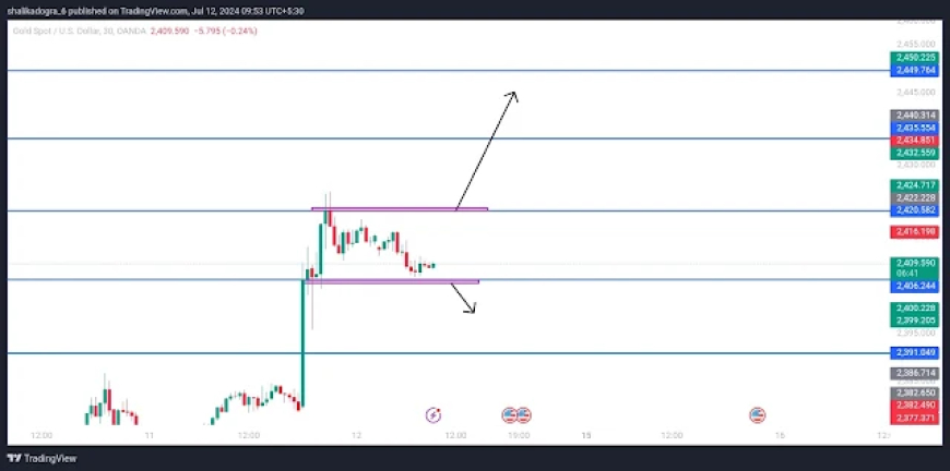 XAUUSD Breaks $2400 | Analyzing CPI and Unemployment Data | Forex Updates