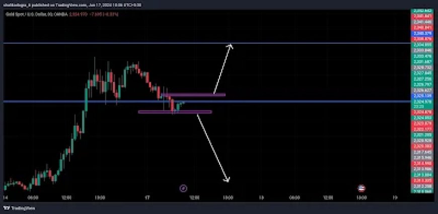 Cooling Bullish Sentiment in Metals Futures Markets Signals Potential Correction | XAUUSD