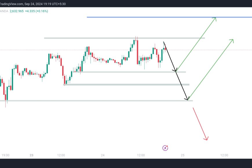 Gold Reaches New All-Time High | Potential Correction Ahead