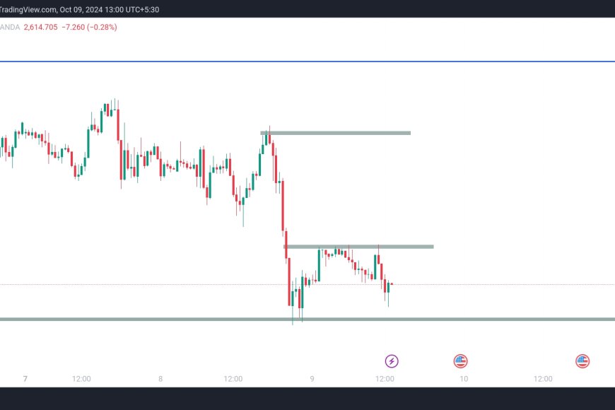 Gold Price Correction | Key Support Levels and Changing Market Perception